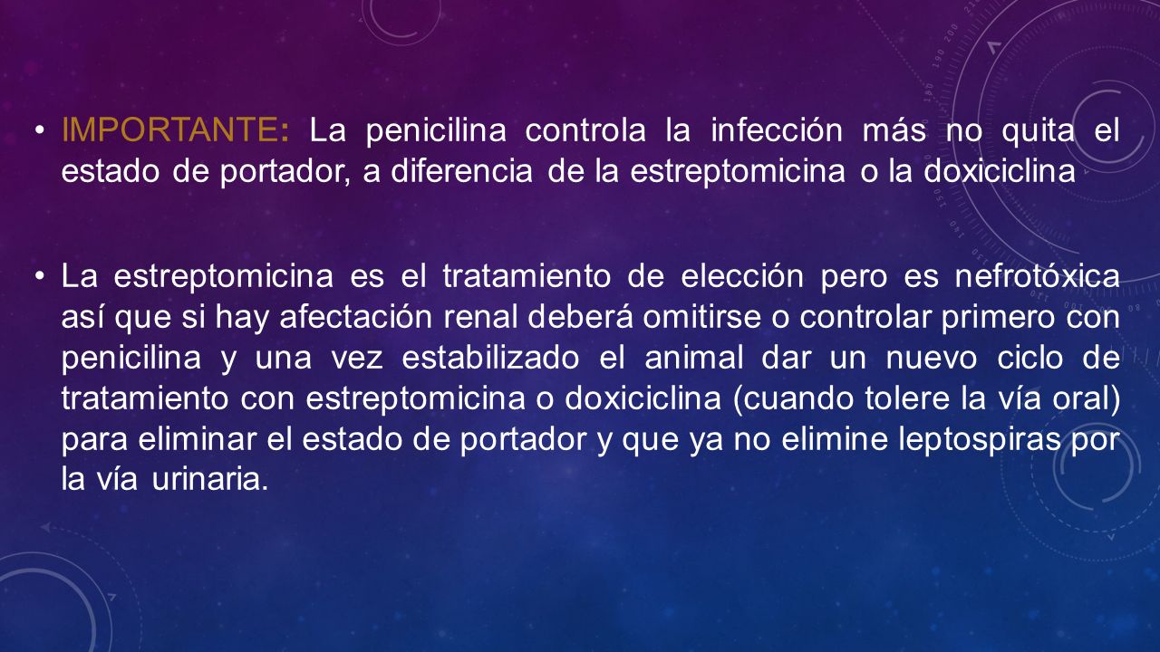 IMPORTANTE: La penicilina controla la infección más no quita el estado de portador, a diferencia de la estreptomicina o la doxiciclina