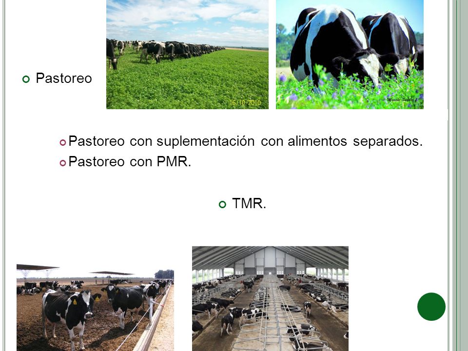 Pastoreo Pastoreo con suplementación con alimentos separados. Pastoreo con PMR. TMR.