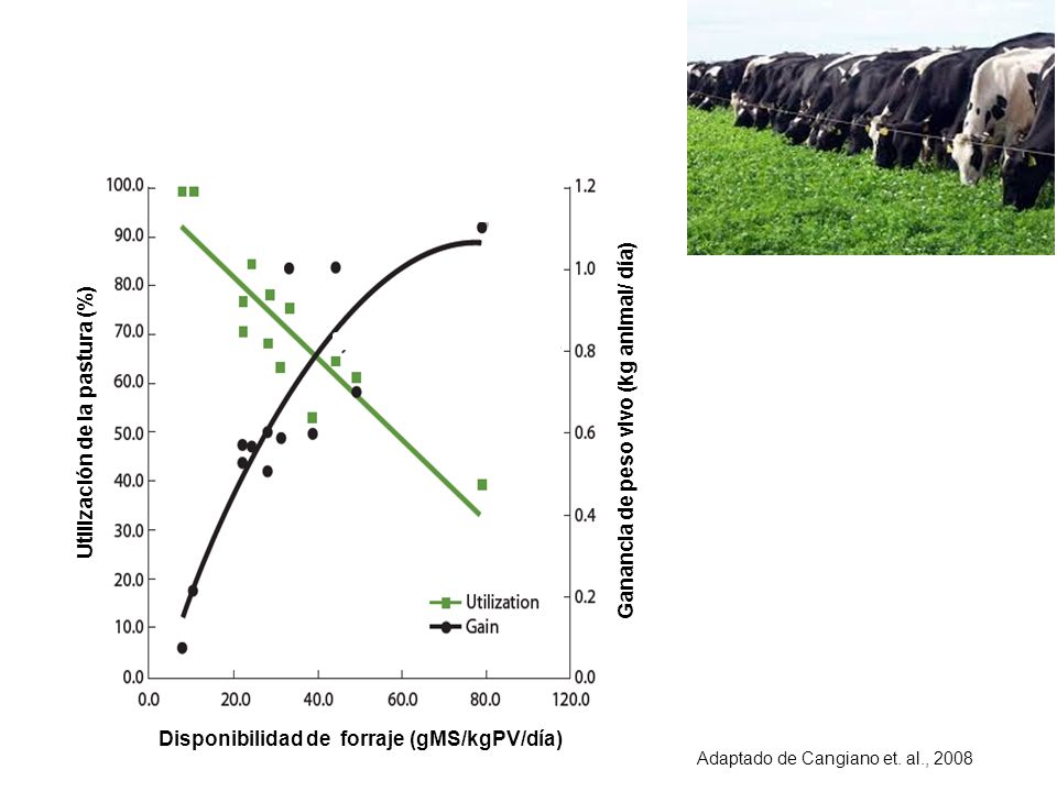 Utilización de la pastura (%) Ganancia de peso vivo (kg animal/ día)