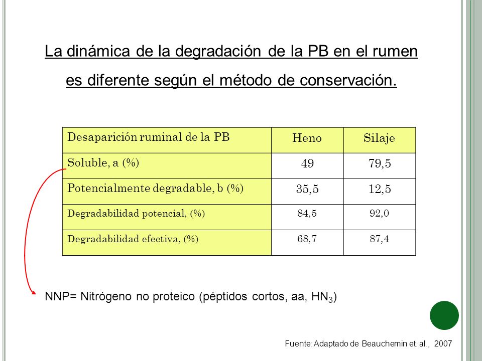 La dinámica de la degradación de la PB en el rumen es diferente según el método de conservación.