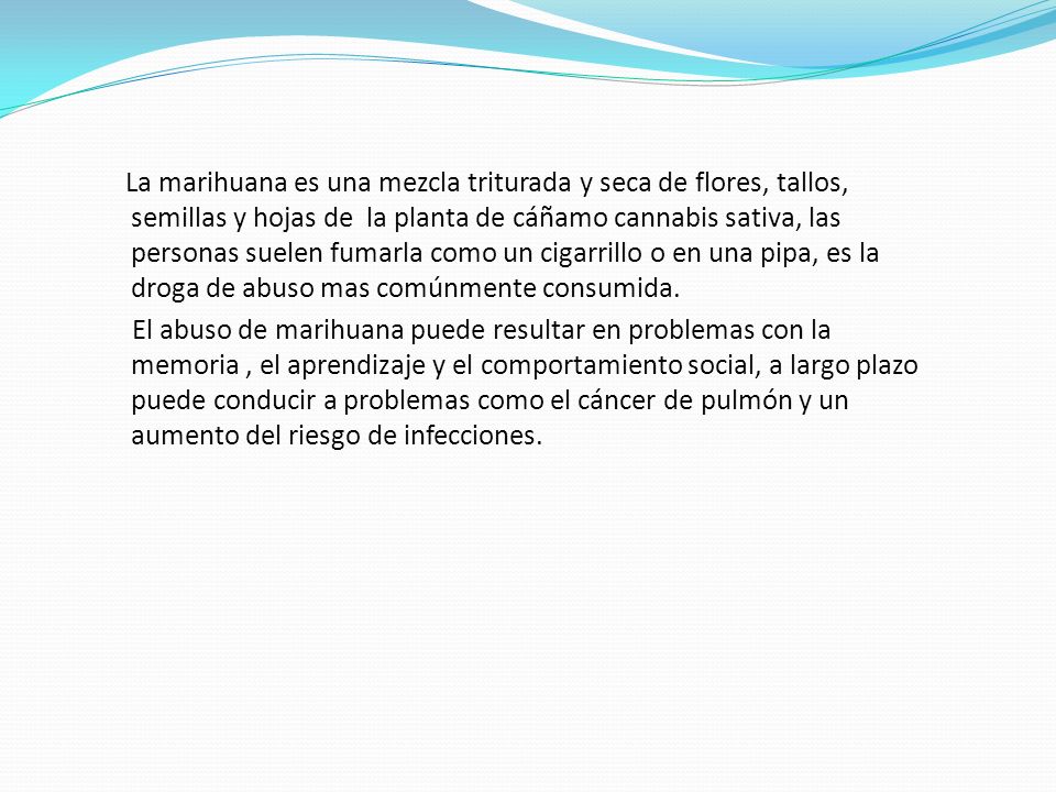 La marihuana es una mezcla triturada y seca de flores, tallos, semillas y hojas de la planta de cáñamo cannabis sativa, las personas suelen fumarla como un cigarrillo o en una pipa, es la droga de abuso mas comúnmente consumida.