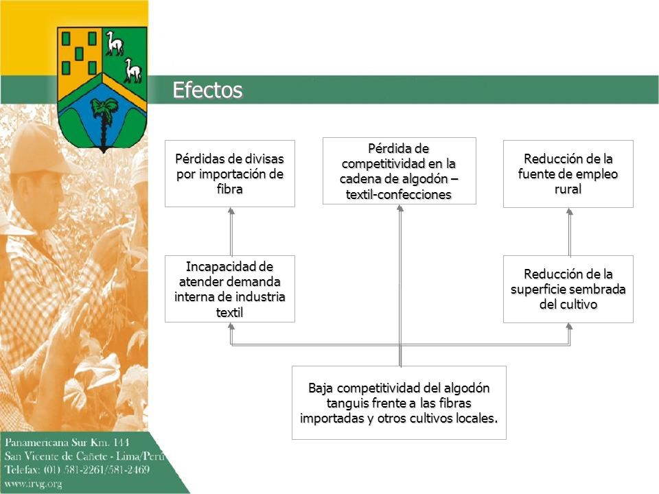 Efectos Pérdidas de divisas por importación de fibra