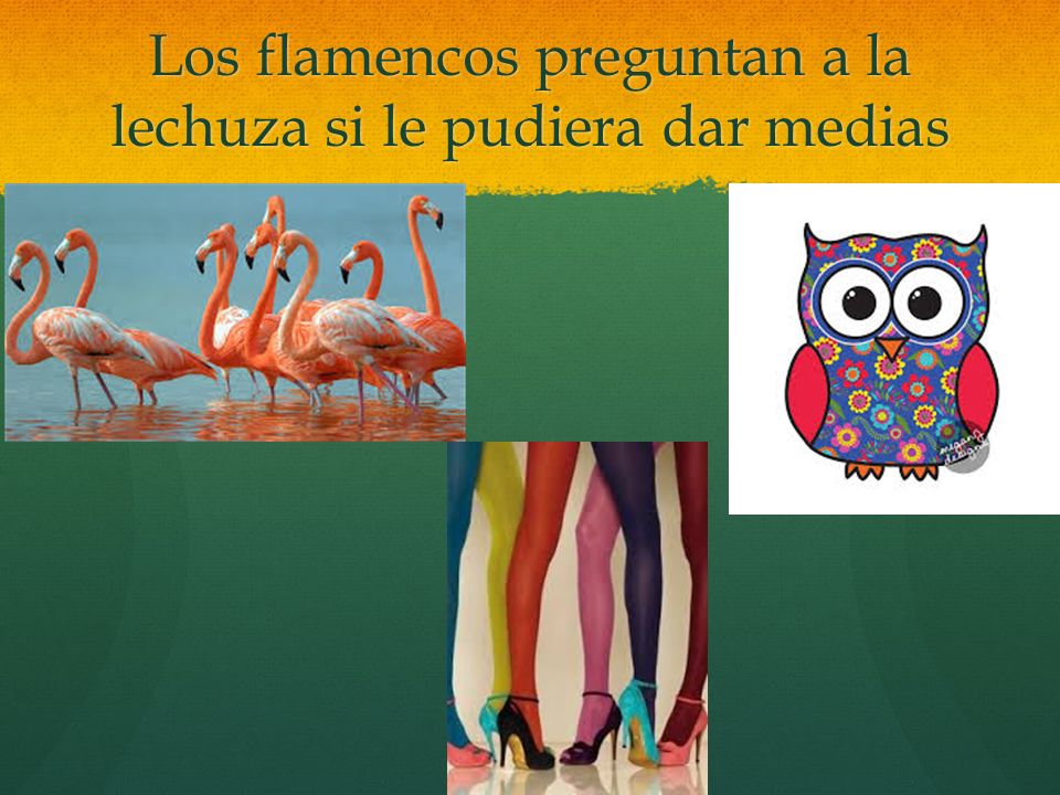 Los flamencos preguntan a la lechuza si le pudiera dar medias