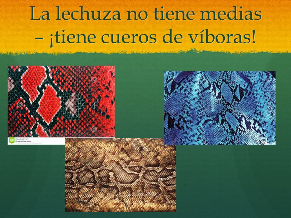 La lechuza no tiene medias – ¡tiene cueros de víboras!