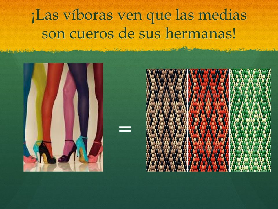 ¡Las víboras ven que las medias son cueros de sus hermanas!