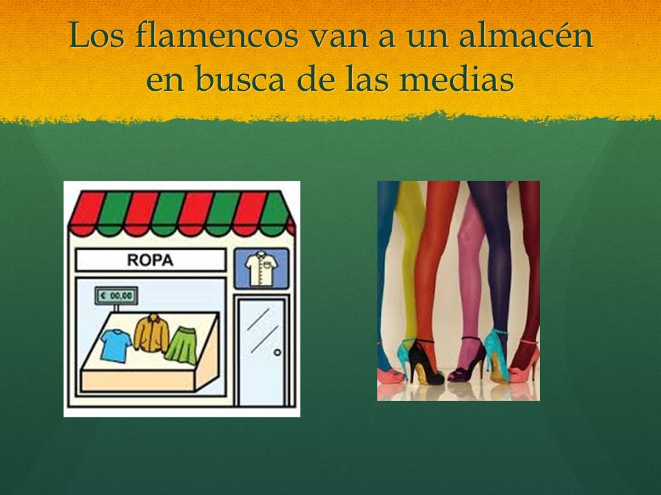 Los flamencos van a un almacén en busca de las medias
