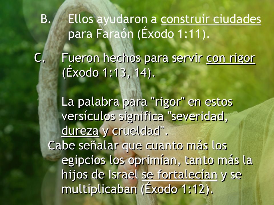 B. Ellos ayudaron a construir ciudades para Faraón (Éxodo 1:11).