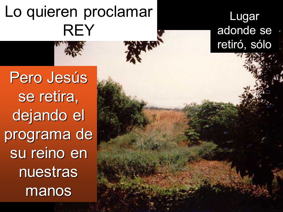 Lo quieren proclamar REY