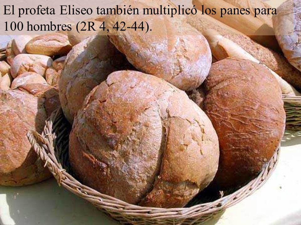 El profeta Eliseo también multiplicó los panes para 100 hombres (2R 4, 42-44).