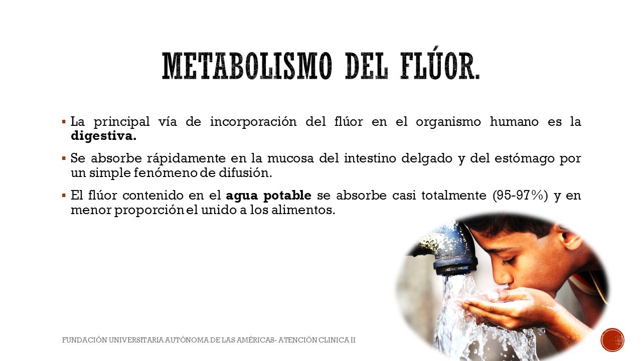 Metabolismo del flúor. La principal vía de incorporación del flúor en el organismo humano es la digestiva.