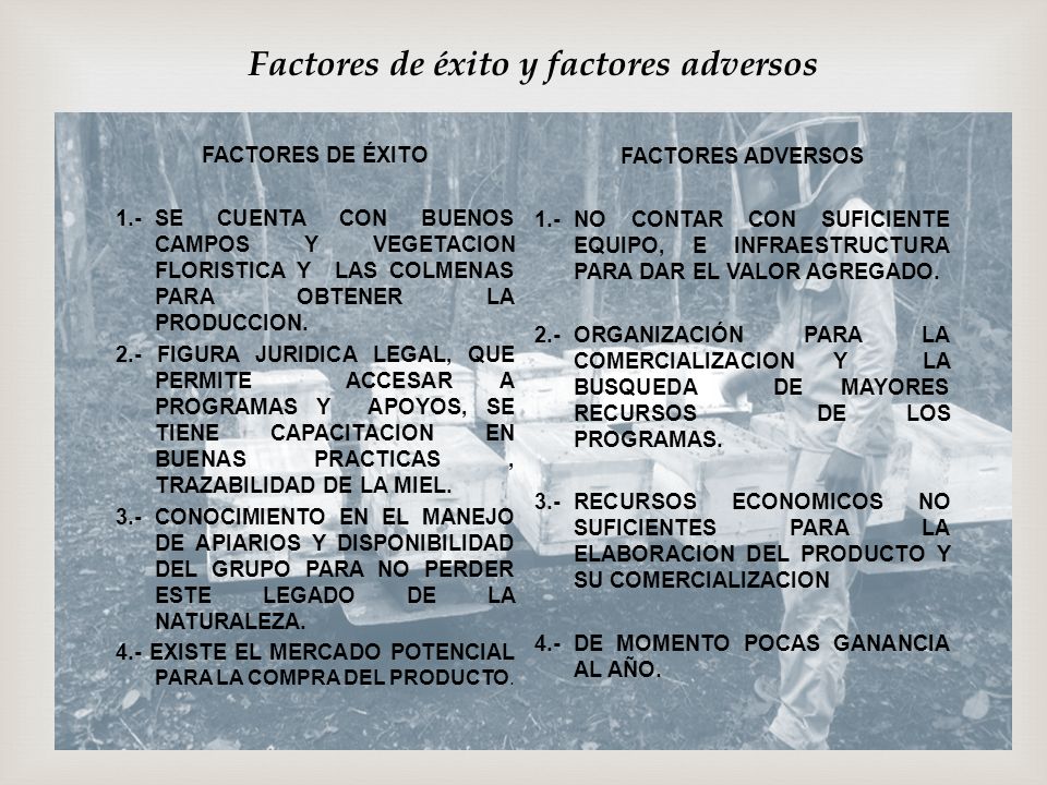 Factores de éxito y factores adversos