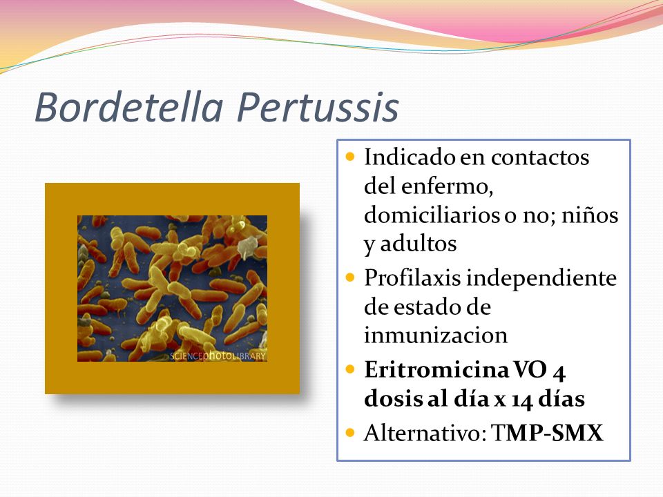 Bordetella Pertussis Indicado en contactos del enfermo, domiciliarios o no; niños y adultos. Profilaxis independiente de estado de inmunizacion.