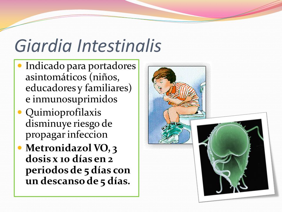 Giardia Intestinalis Indicado para portadores asintomáticos (niños, educadores y familiares) e inmunosuprimidos.