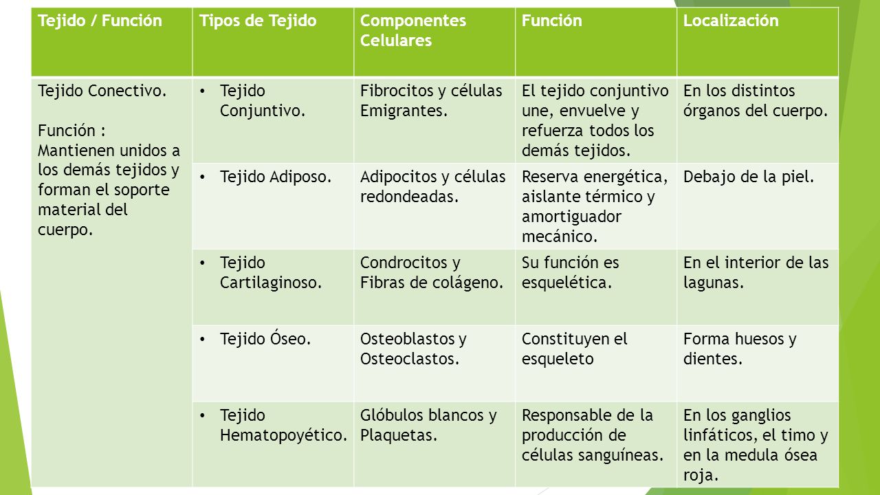 Tejido / Función Tipos de Tejido. Componentes Celulares. Función. Localización. Tejido Conectivo.
