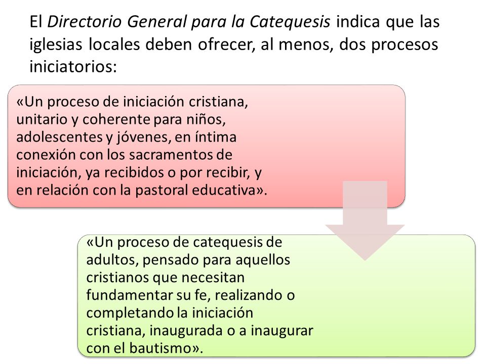 El Directorio General para la Catequesis indica que las iglesias locales deben ofrecer, al menos, dos procesos iniciatorios: