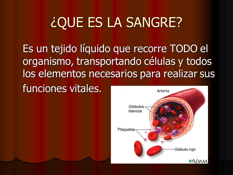 ¿QUE ES LA SANGRE Es un tejido líquido que recorre TODO el organismo, transportando células y todos los elementos necesarios para realizar sus.
