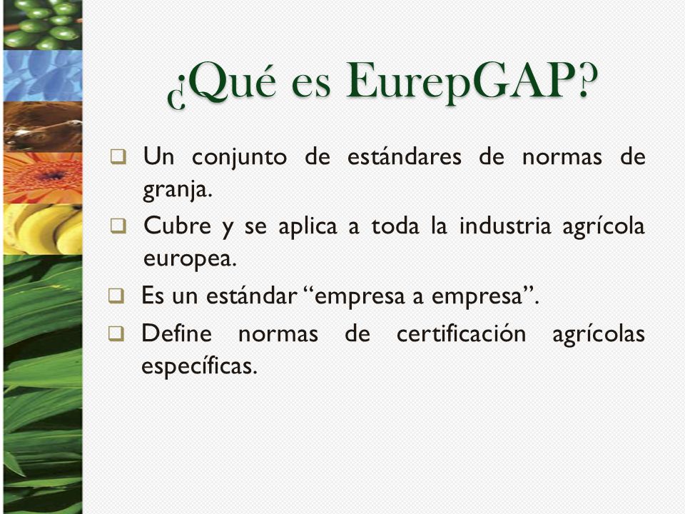 ¿Qué es EurepGAP Un conjunto de estándares de normas de granja.