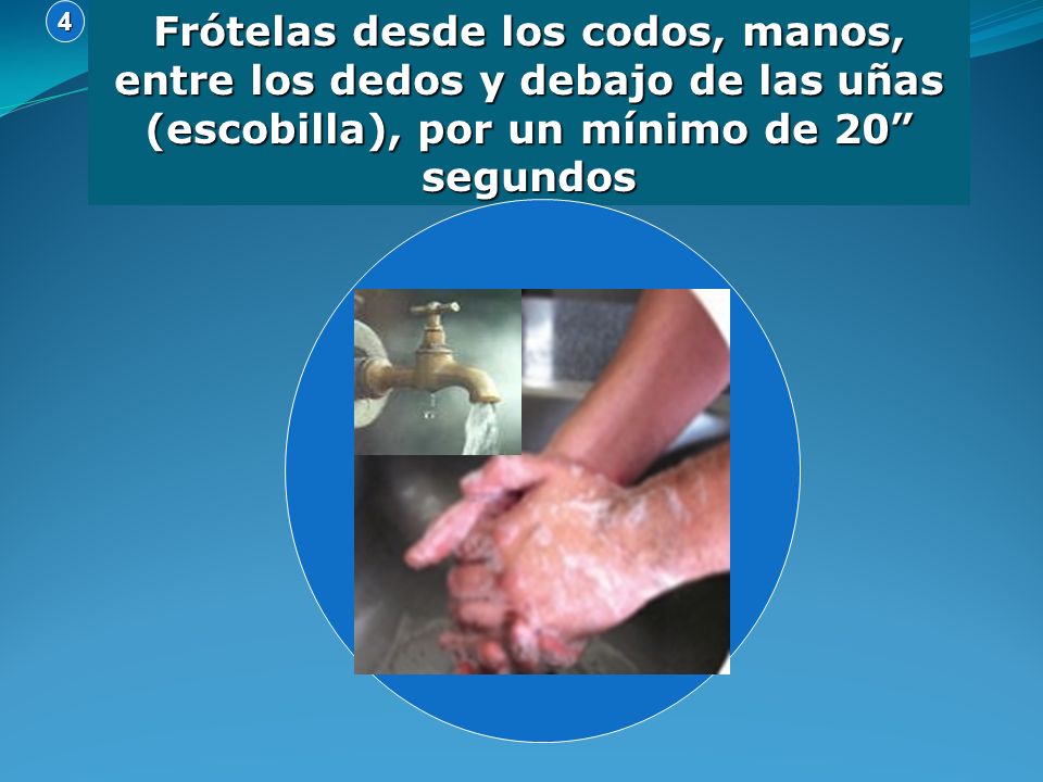 4 Frótelas desde los codos, manos, entre los dedos y debajo de las uñas (escobilla), por un mínimo de 20 segundos.
