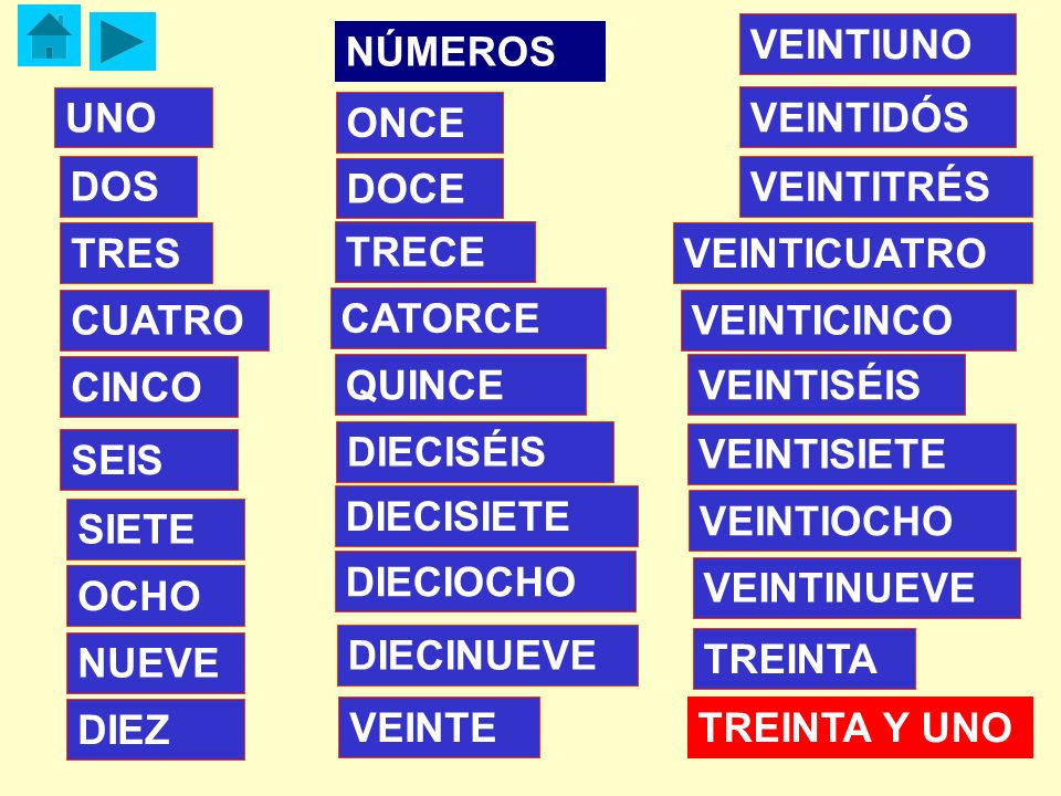VEINTIUNO NÚMEROS. UNO. ONCE. VEINTIDÓS. DOS. DOCE. VEINTITRÉS. TRES. TRECE. VEINTICUATRO.