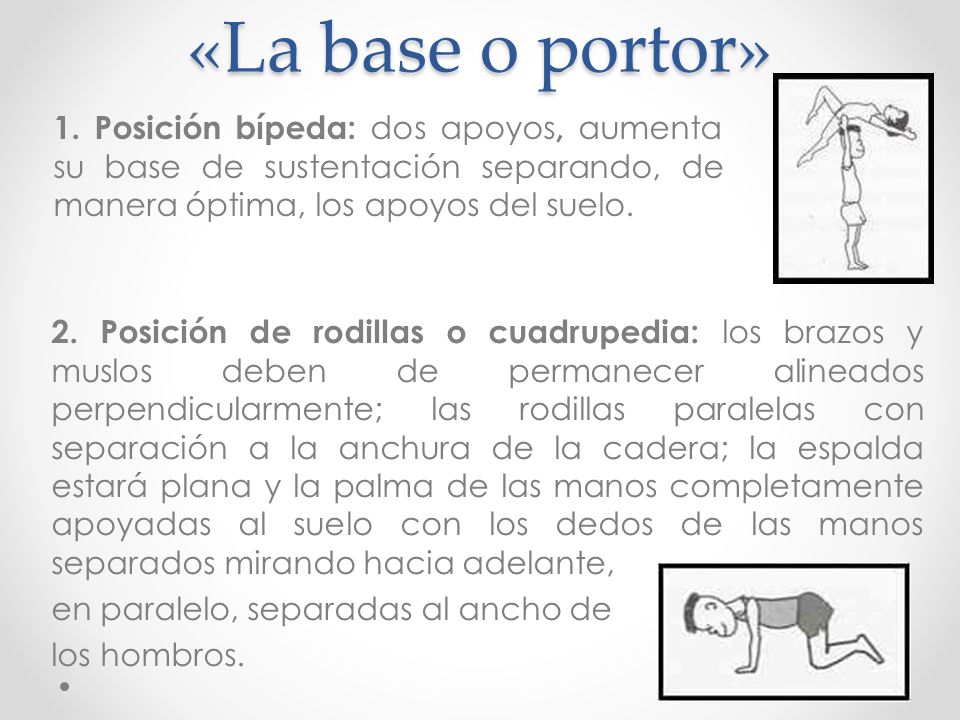 «La base o portor» 1. Posición bípeda: dos apoyos, aumenta su base de sustentación separando, de manera óptima, los apoyos del suelo.