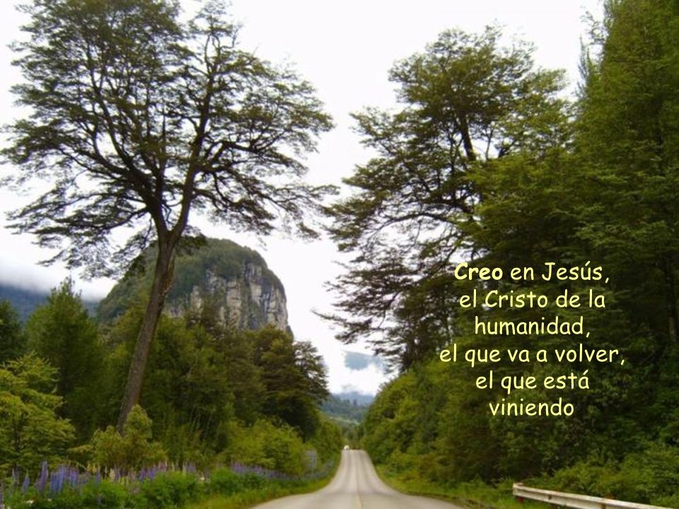 Creo en Jesús, el Cristo de la humanidad, el que va a volver, el que está viniendo