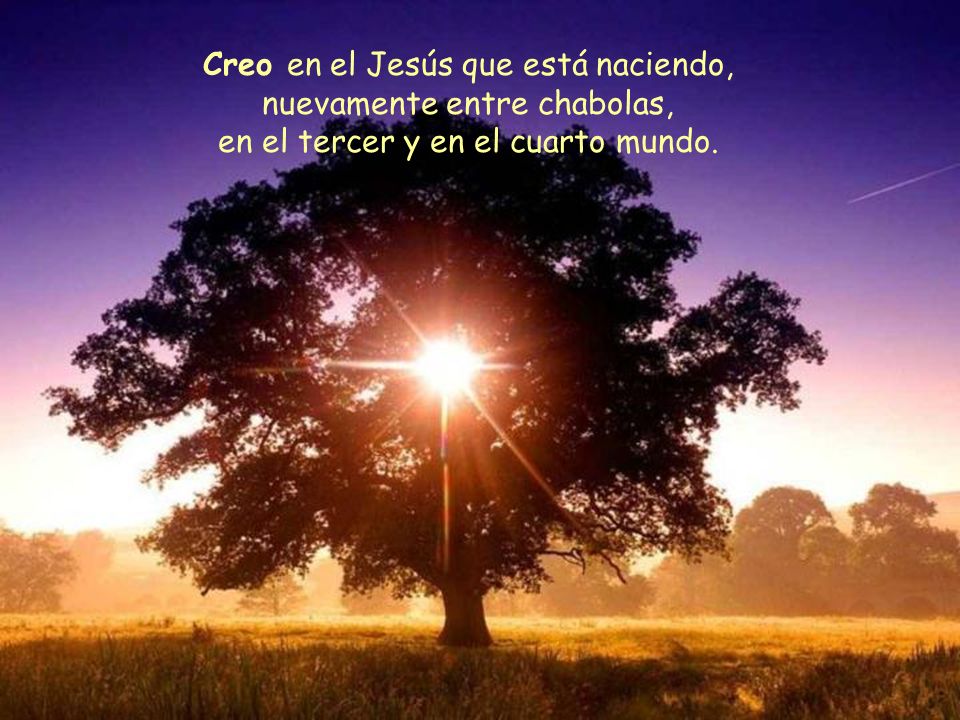 Creo en el Jesús que está naciendo, nuevamente entre chabolas, en el tercer y en el cuarto mundo.
