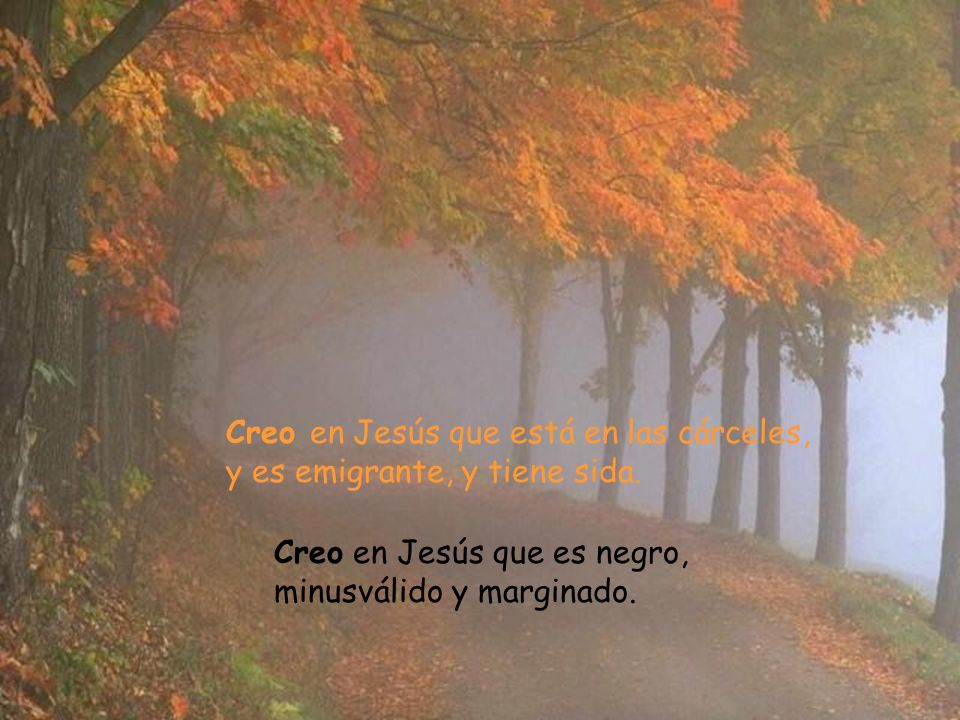 Creo en Jesús que está en las cárceles, y es emigrante, y tiene sida.