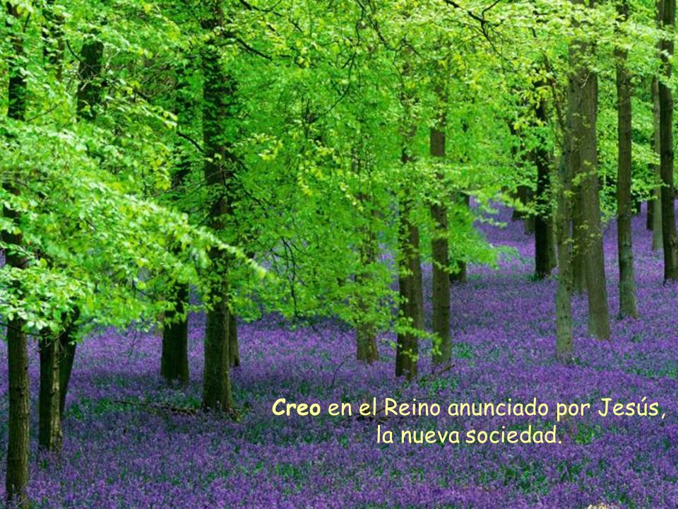 Creo en el Reino anunciado por Jesús, la nueva sociedad.