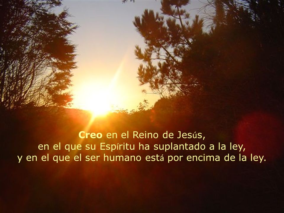 Creo en el Reino de Jesús, en el que su Espíritu ha suplantado a la ley, y en el que el ser humano está por encima de la ley.