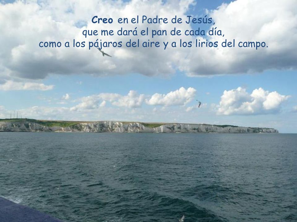 Creo en el Padre de Jesús, que me dará el pan de cada día, como a los pájaros del aire y a los lirios del campo.