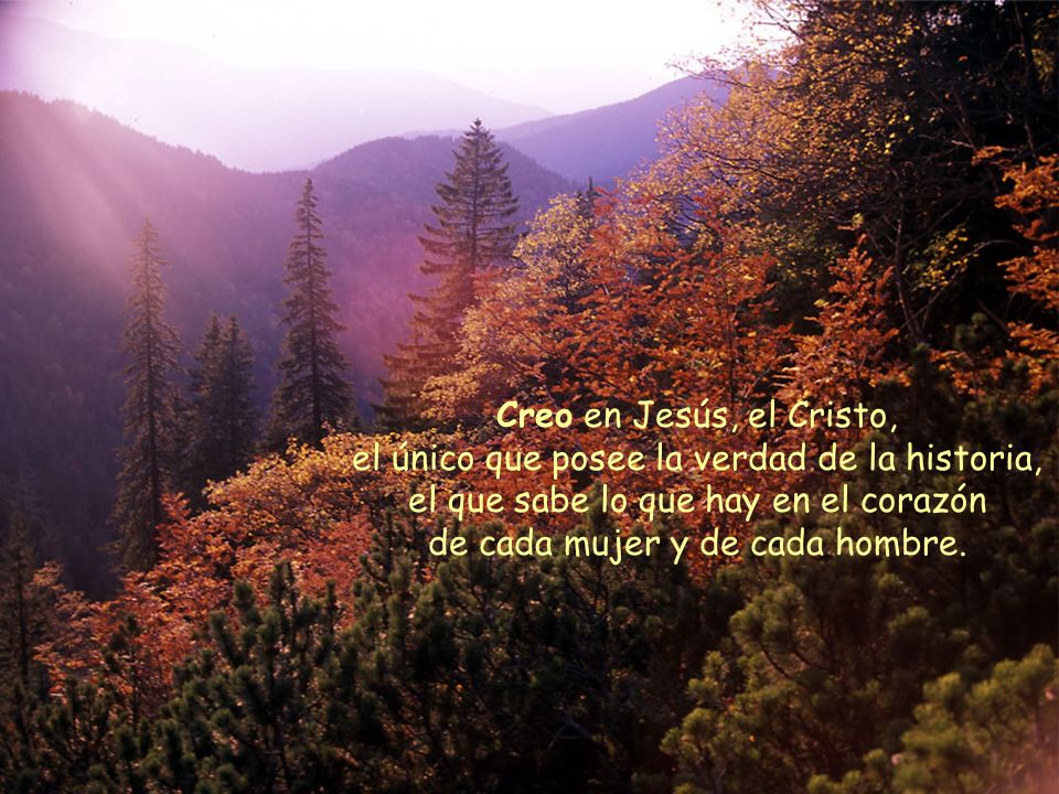 Creo en Jesús, el Cristo, el único que posee la verdad de la historia, el que sabe lo que hay en el corazón de cada mujer y de cada hombre.