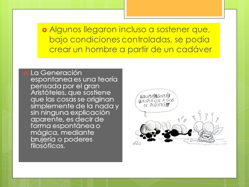 Algunos llegaron incluso a sostener que, bajo condiciones controladas, se podía crear un hombre a partir de un cadáver