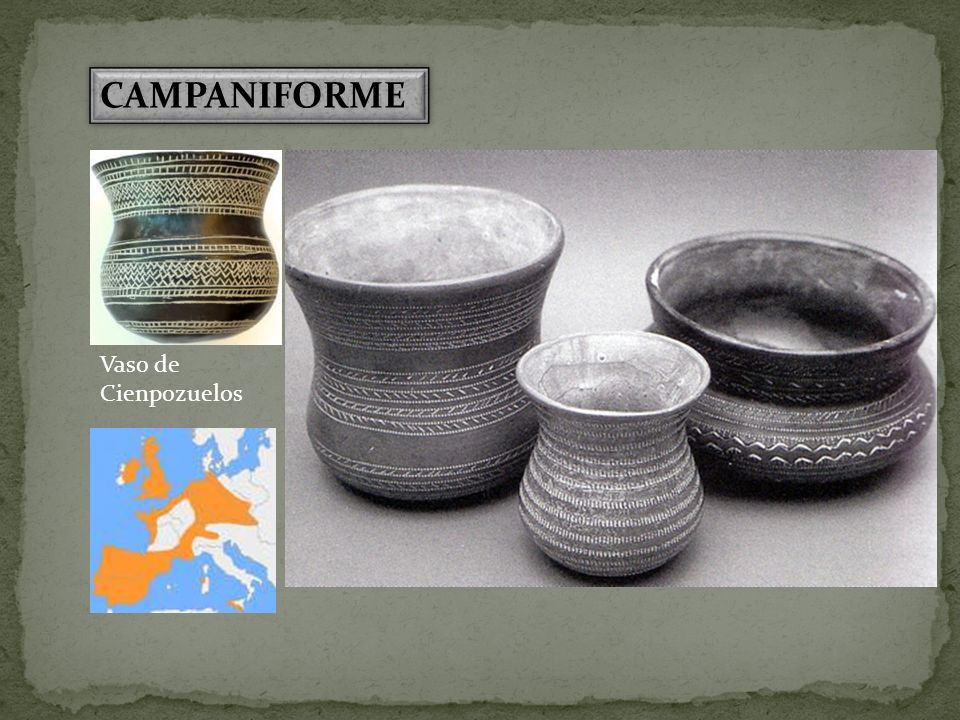 CAMPANIFORME Vaso de Cienpozuelos