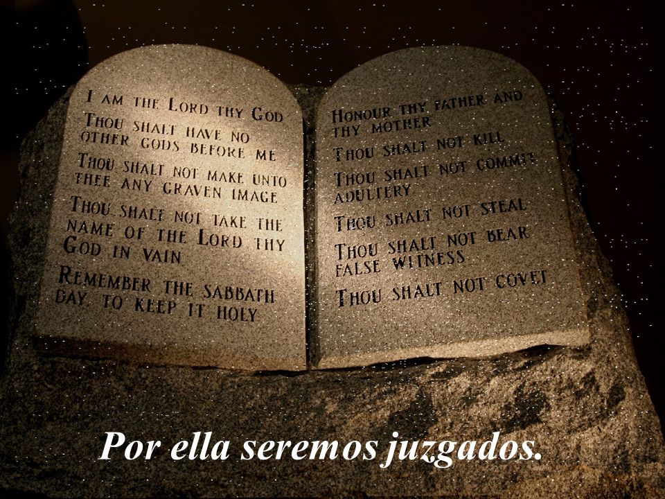 Por ella seremos juzgados.