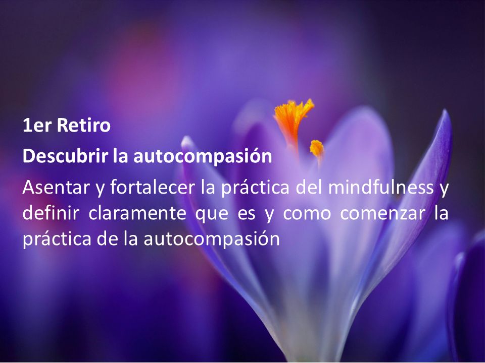 1er Retiro Descubrir la autocompasión Asentar y fortalecer la práctica del mindfulness y definir claramente que es y como comenzar la práctica de la autocompasión