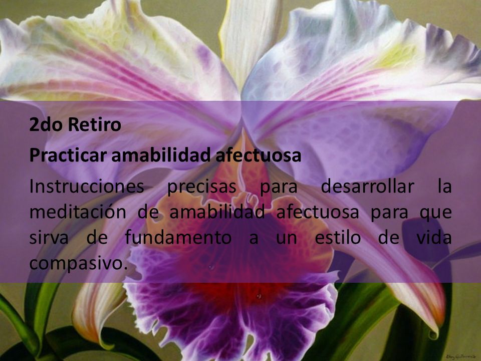 2do Retiro Practicar amabilidad afectuosa Instrucciones precisas para desarrollar la meditación de amabilidad afectuosa para que sirva de fundamento a un estilo de vida compasivo.