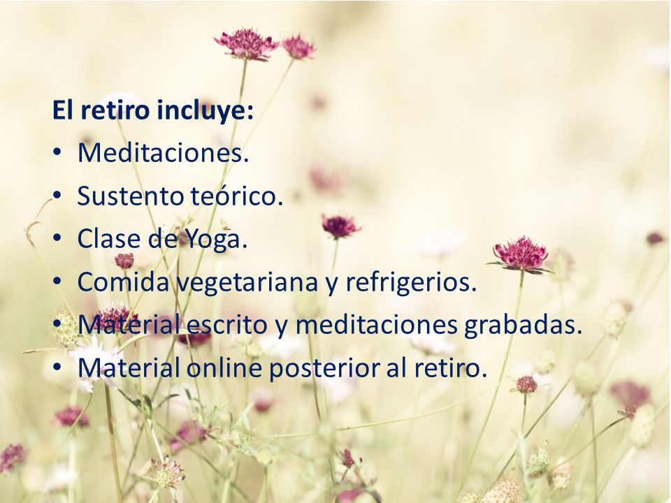El retiro incluye: Meditaciones. Sustento teórico. Clase de Yoga. Comida vegetariana y refrigerios.