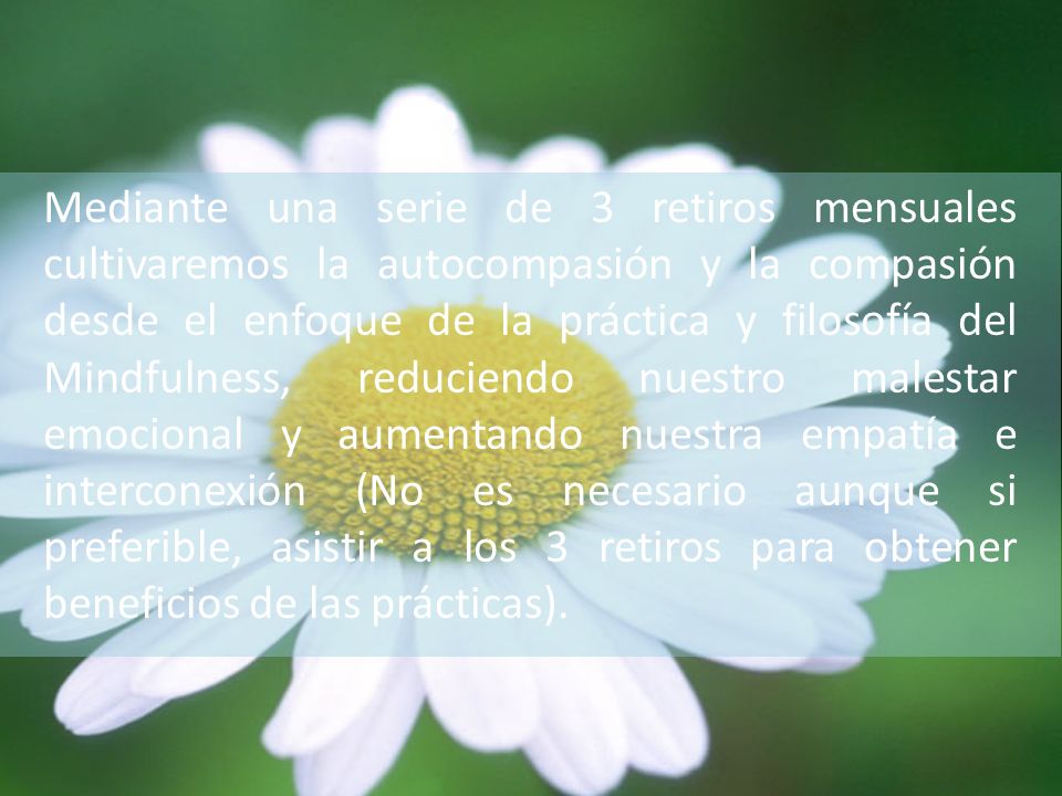 Mediante una serie de 3 retiros mensuales cultivaremos la autocompasión y la compasión desde el enfoque de la práctica y filosofía del Mindfulness, reduciendo nuestro malestar emocional y aumentando nuestra empatía e interconexión (No es necesario aunque si preferible, asistir a los 3 retiros para obtener beneficios de las prácticas).