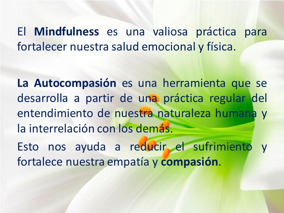 El Mindfulness es una valiosa práctica para fortalecer nuestra salud emocional y física.