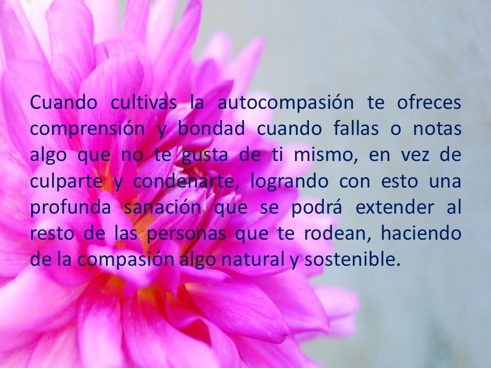 Cuando cultivas la autocompasión te ofreces comprensión y bondad cuando fallas o notas algo que no te gusta de ti mismo, en vez de culparte y condenarte, logrando con esto una profunda sanación que se podrá extender al resto de las personas que te rodean, haciendo de la compasión algo natural y sostenible.
