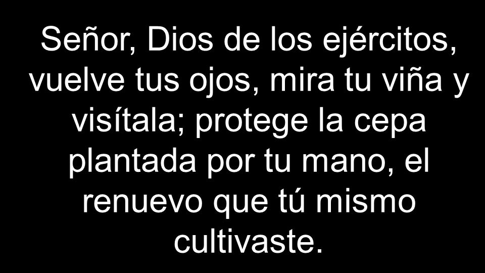 Señor, Dios de los ejércitos, vuelve tus ojos, mira tu viña y visítala; protege la cepa plantada por tu mano, el renuevo que tú mismo cultivaste.
