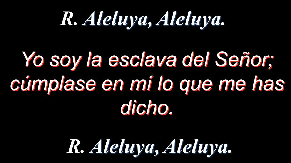 Yo soy la esclava del Señor; cúmplase en mí lo que me has dicho.