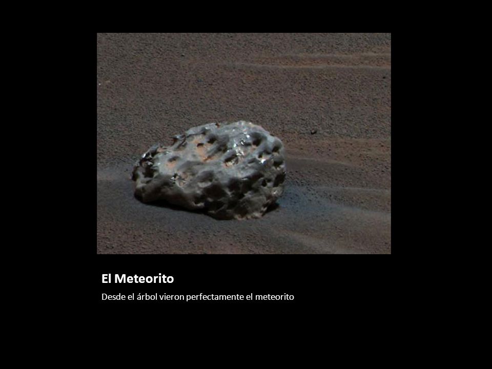 El Meteorito Desde el árbol vieron perfectamente el meteorito
