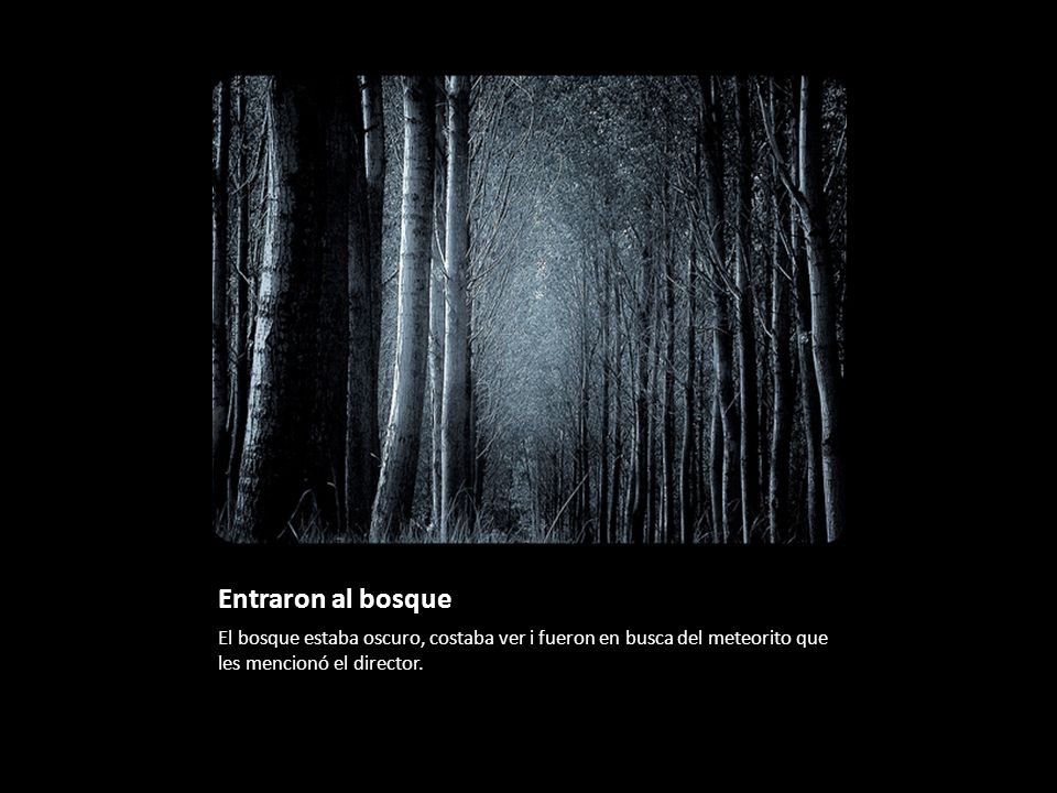 Entraron al bosque El bosque estaba oscuro, costaba ver i fueron en busca del meteorito que les mencionó el director.