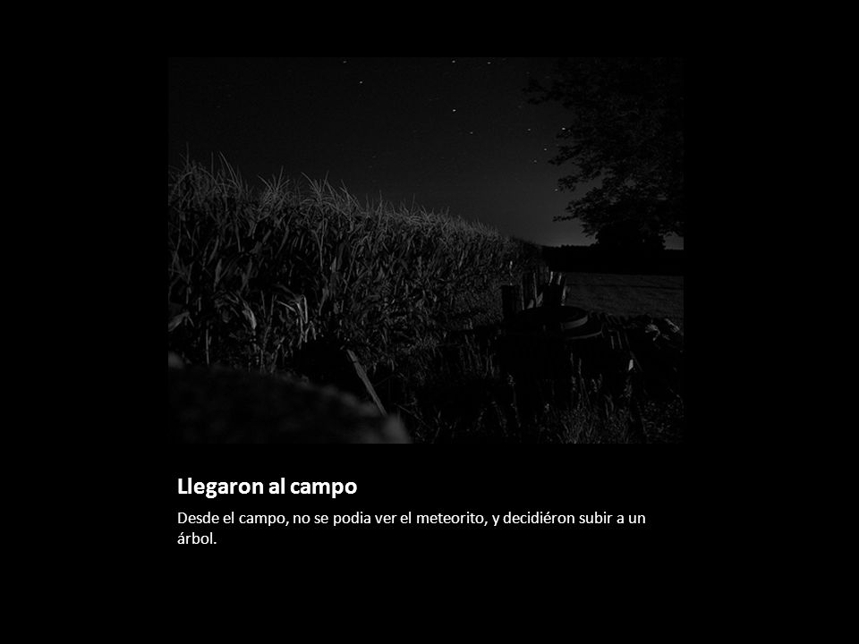 Llegaron al campo Desde el campo, no se podia ver el meteorito, y decidiéron subir a un árbol.