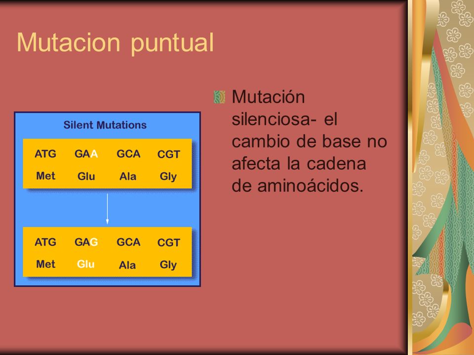 Mutacion puntual Mutación silenciosa- el cambio de base no afecta la cadena de aminoácidos.