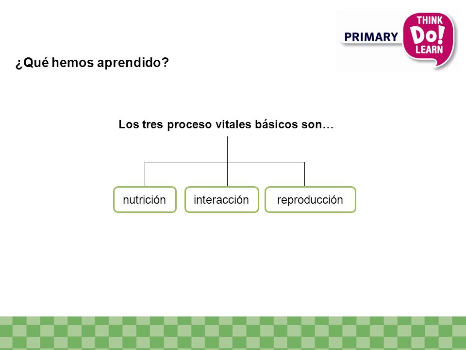 ¿Qué hemos aprendido Los tres proceso vitales básicos son… nutrición