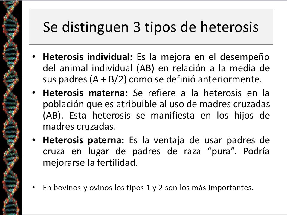 Se distinguen 3 tipos de heterosis