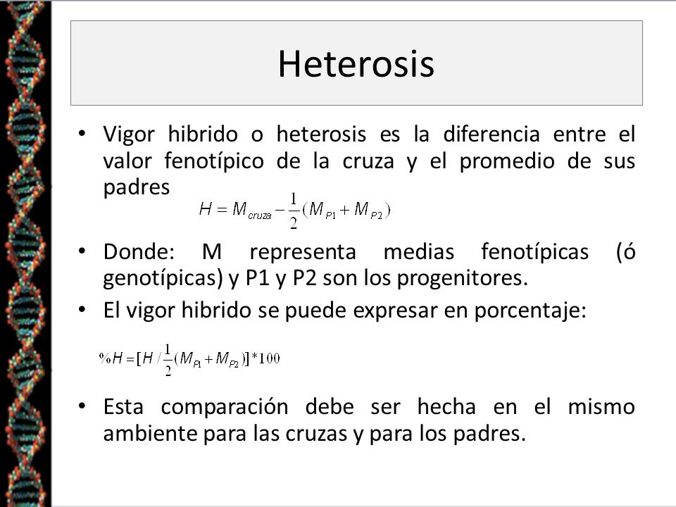 Heterosis Vigor hibrido o heterosis es la diferencia entre el valor fenotípico de la cruza y el promedio de sus padres.
