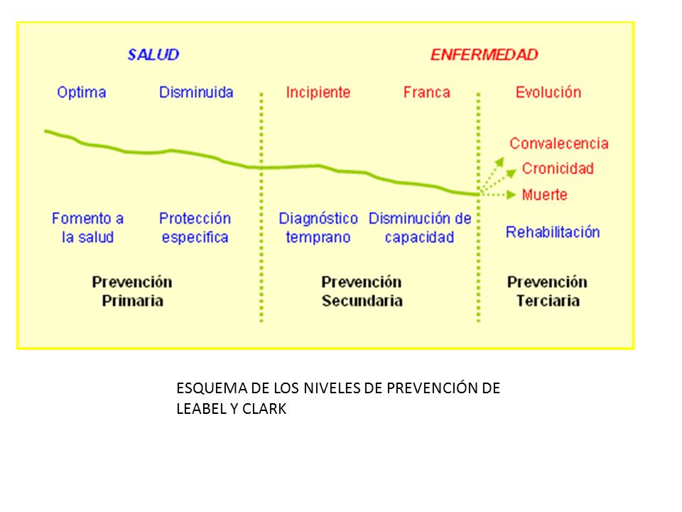 ESQUEMA DE LOS NIVELES DE PREVENCIÓN DE LEABEL Y CLARK